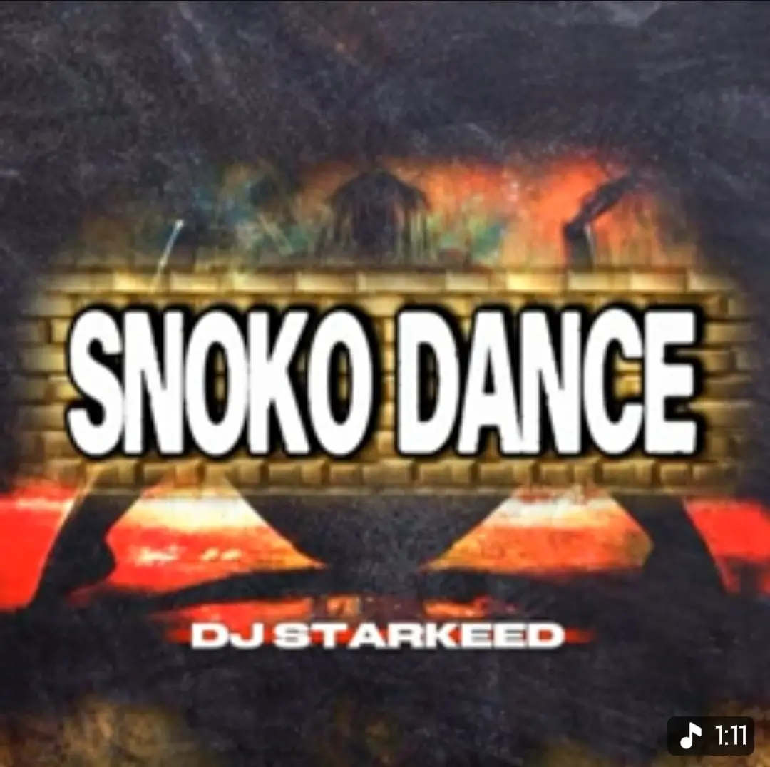 DJ Starkeed - Snoko Dance