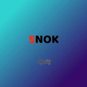 DJ SùJ – Snok