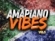 DJ Twise - Amapiano Vibes Mixtape, Vol. 5 (2025 Party Mix)