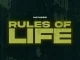 Entity & Hotkid - Rules of Life
