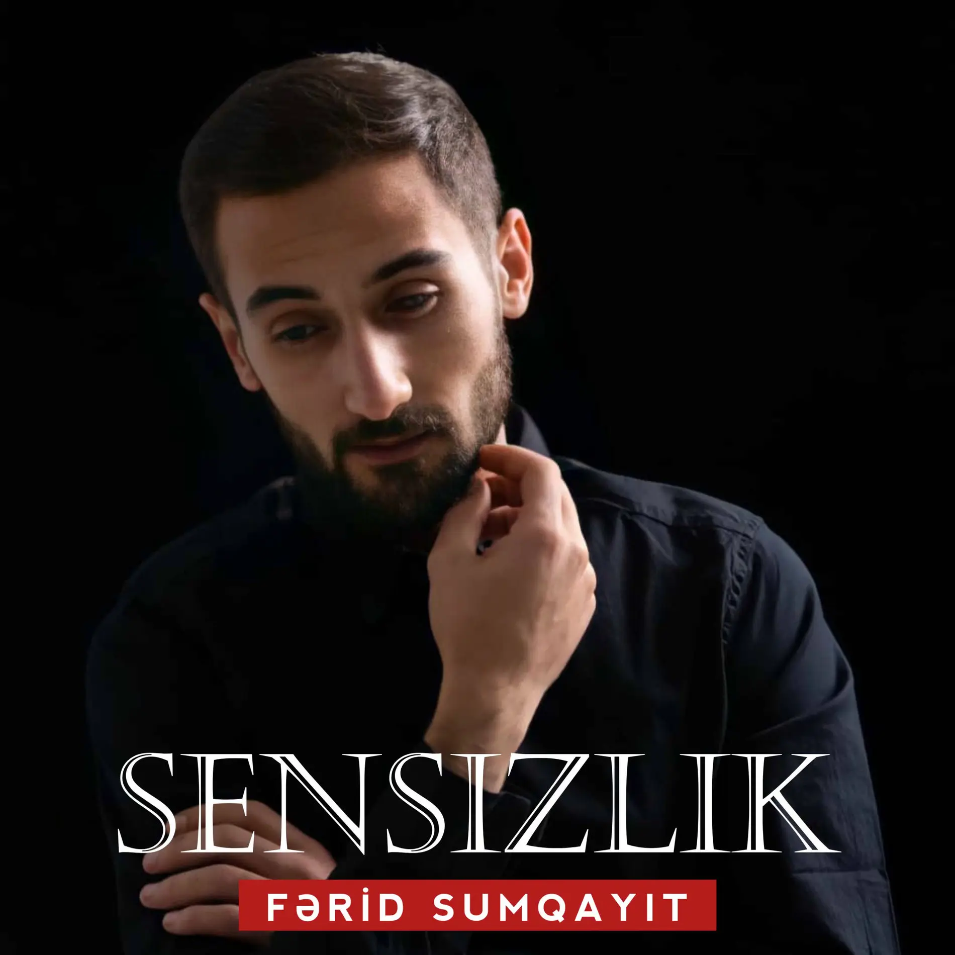 Ferid Sumqayit - Sensizlik