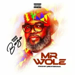 Jesse King Buga – Mr Wole