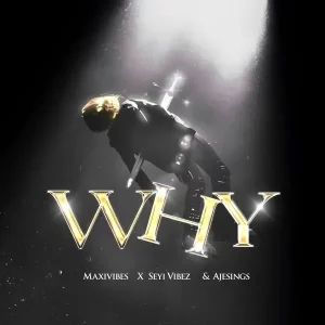 Maxivibes, Seyi Vibez & Ajesings – Why