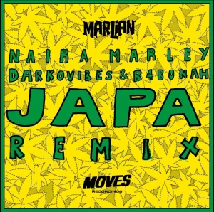 Naira Marley, B4Bonah & DarkoVibes – Japa (Ghana Remix)