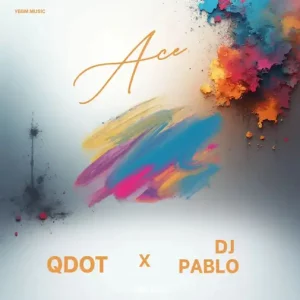 Qdot & DJ Pablo – Ace (Refix)