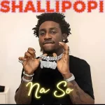 Shallipopi – Na So