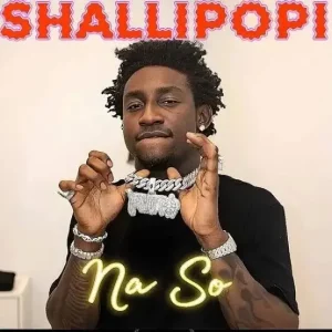Shallipopi – Na So