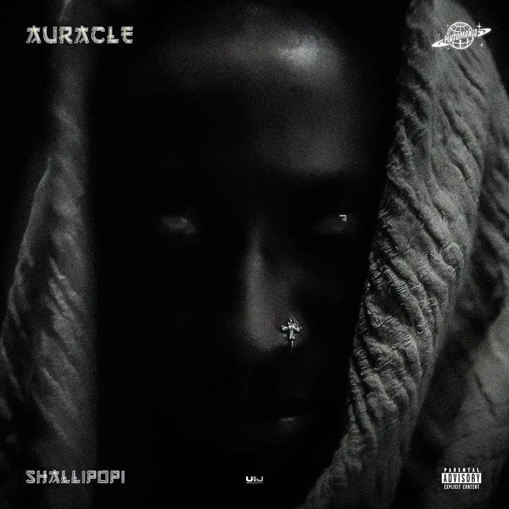Shallipopi ft. Wizkid - Like That (KU3H 3step Afrohouse Remix)