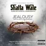 Shatta Wale – Jealousy