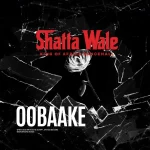 Shatta Wale – Oobaake
