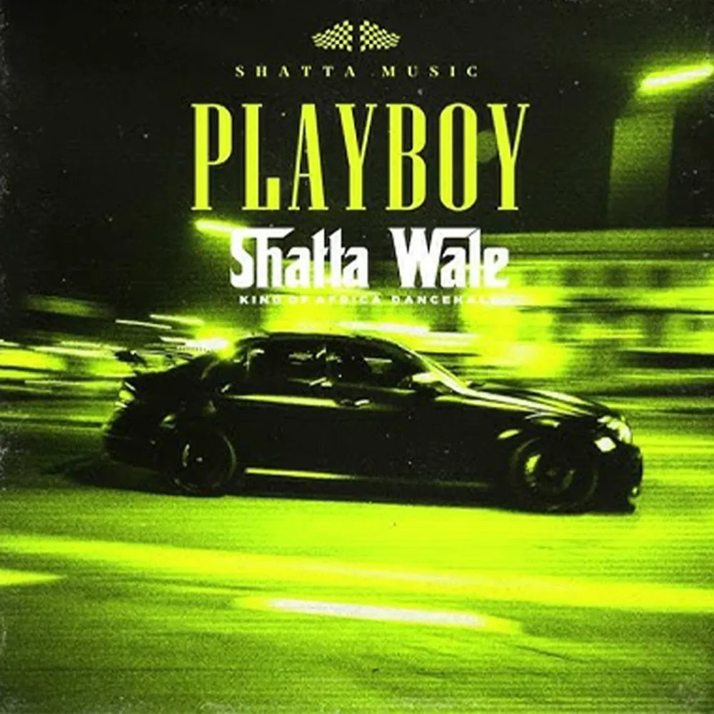 Shatta Wale - Playboy