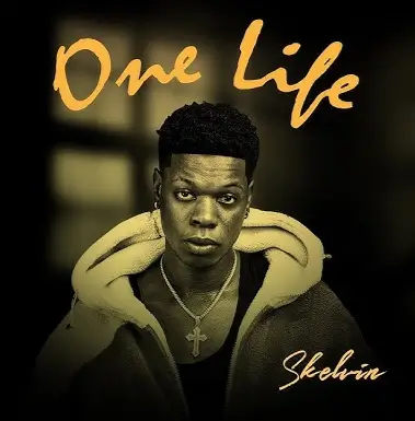 Skelvin - One Life