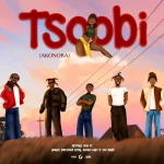 Skyface SDW – TSOOBI (AKONOBA) ft. Lasmid, Beeztrap KOTM, Kwaku DMC & Jay Bahd