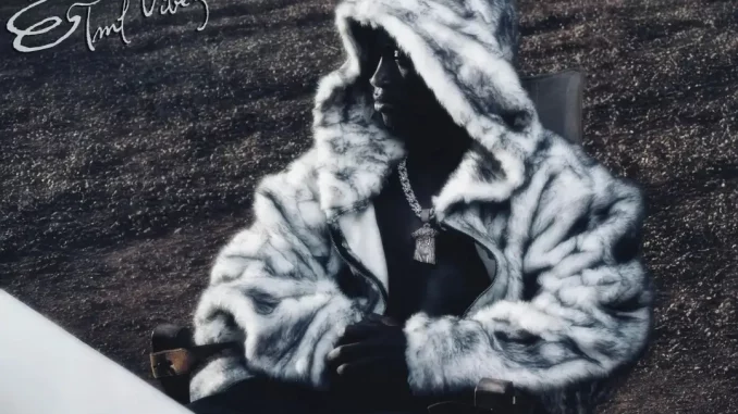 TML Vibez - A Street Kid's Diary (Album)