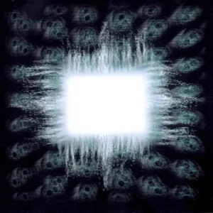 TOOL – Forty Six & 2