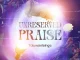 Toluwanisings - Unreserved Praise