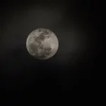 Viera – Going To The Mansion