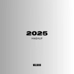 Wilcox – Last MashUp In 2025