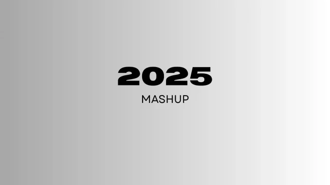 Wilcox - Last MashUp In 2025