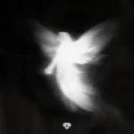 Zach Diamond – Angels And Demons