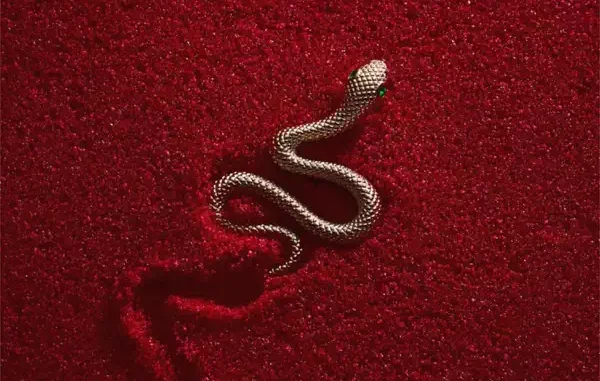 Zach Diamond - PYTHONS