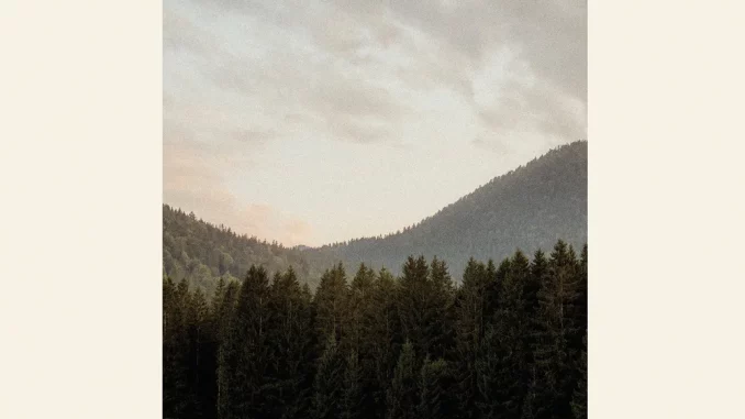 Amistat - The Night We Met