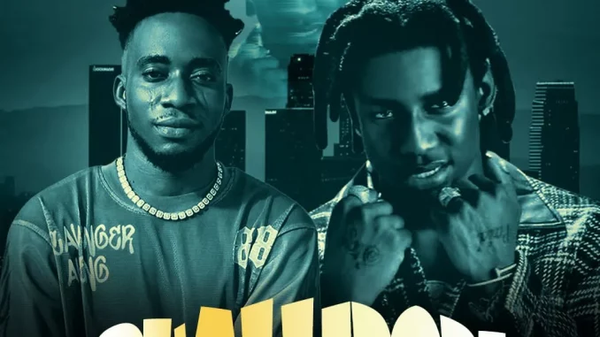 DJ Amacoz - Best Of Shallipopi 2026 Mix