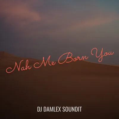 DJ Damlex Soundit - Nah Me Born You