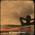 DJ Damlex Soundit – What Did You Want