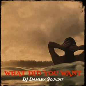 DJ Damlex Soundit – What Did You Want