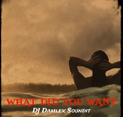 DJ Damlex Soundit - What Did You Want