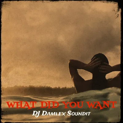 DJ Damlex Soundit - What Did You Want