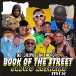 DJ Skipo Ika Alaba – Book Of The Street Oluwo Koshemu 2026 Mix