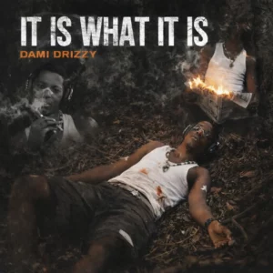 Dami Drizzy – Contour