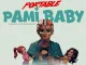 Portable - Pami Baby