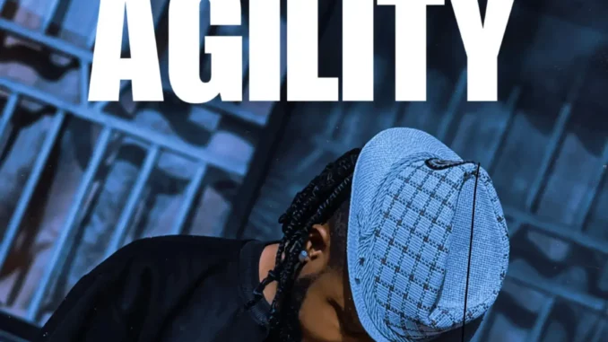 Professional Beat - Agility