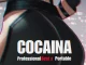 Professional Beat & Portable - Cocaina (Remix)