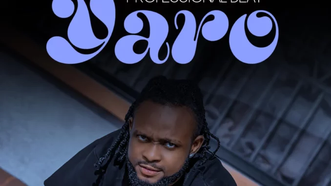 Professional Beat - Yaro