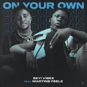 Seyi Vibez – On Your Own ft. Martins Feelz