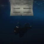 Billie Eilish – WildFlower