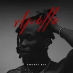 Codest Boi NTM – Apollo