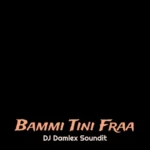DJ Damlex Soundit – Bammi Tini Fraa