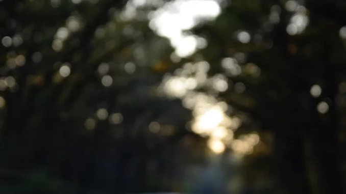 Omo Ebira Beatz - Eze Ebube