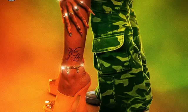 Rvssian, Moliy, Ayetian & Tyga - What I Like