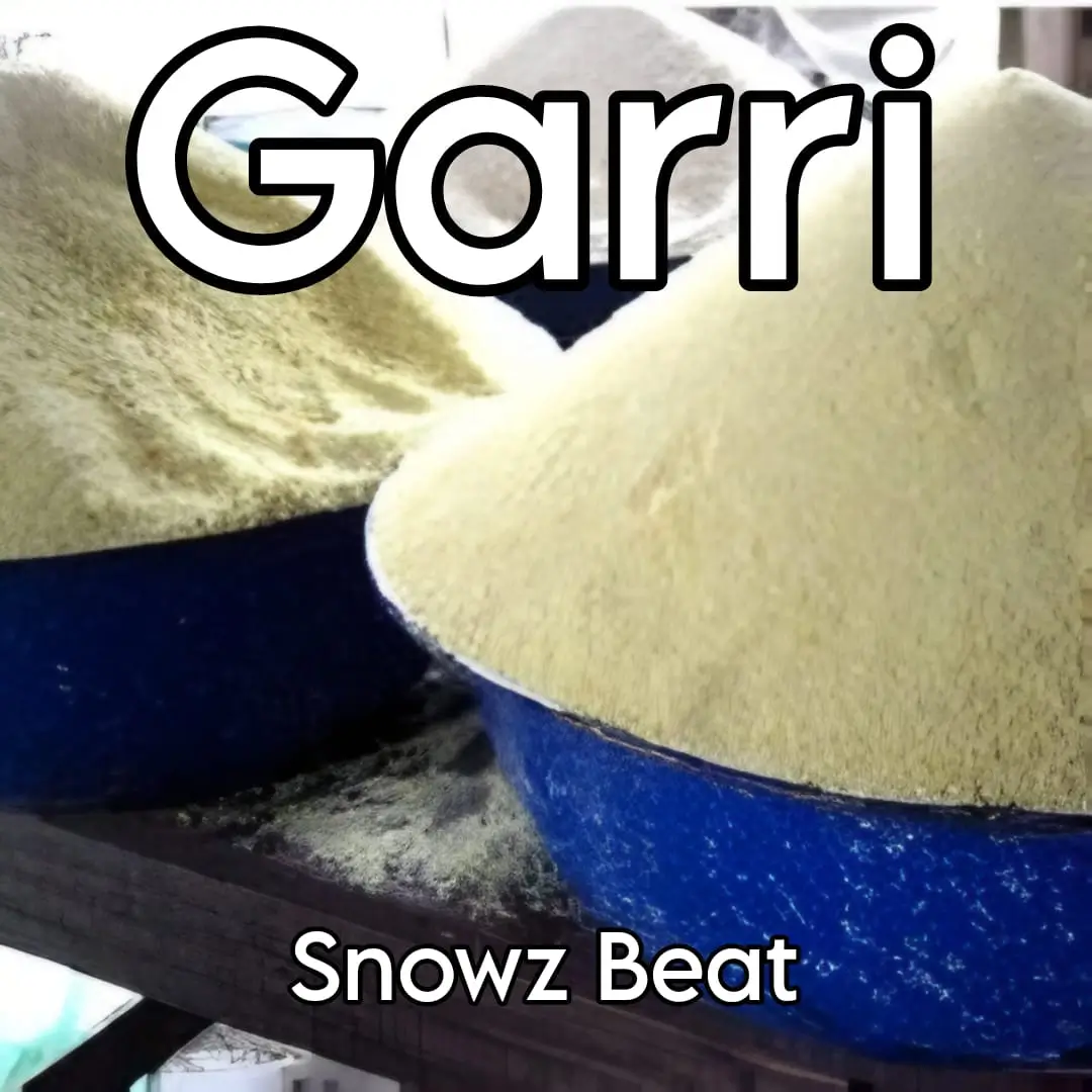 Snowz Beat - Garri