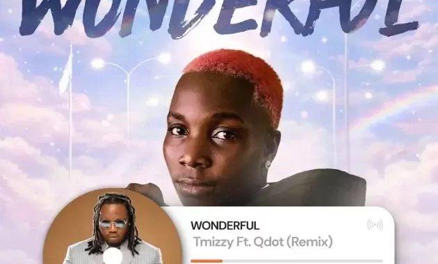 TMizzy Mrhorrizen & Qdot - Wonderful (Remix)