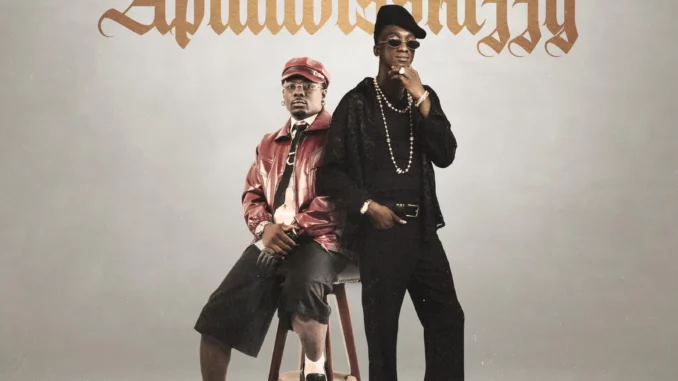 Terry Apala - Apaladisskizzy ft. Mavo