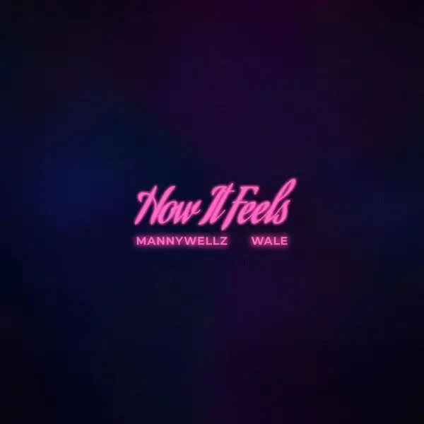 Mannywellz & Wale - How It Feels