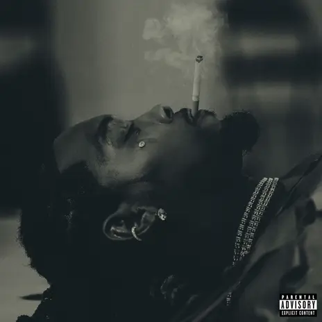 Offset & Gunna - Different Species