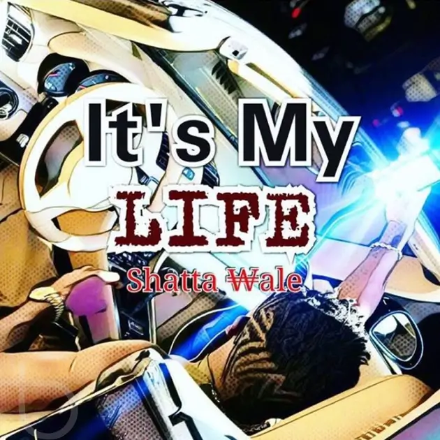 Shatta Wale - It's My Life ft. Sarkodie